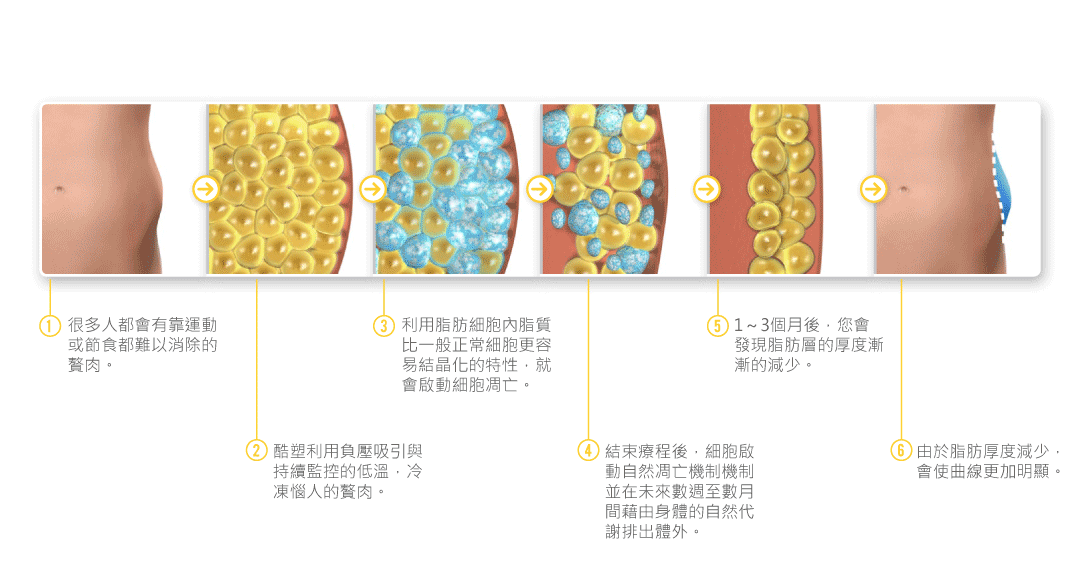 酷塑作用過程