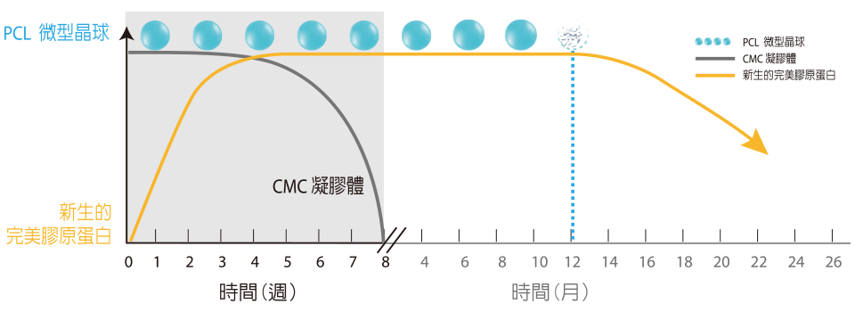 自體再生的優質膠原蛋白