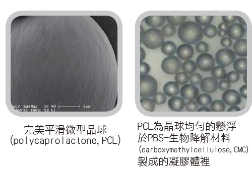 PCL微型晶球刺激自體膠原蛋白再生