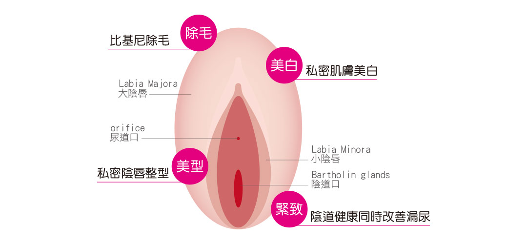 AcuPulse™ CO2 超脈衝雷射女性私密處保養