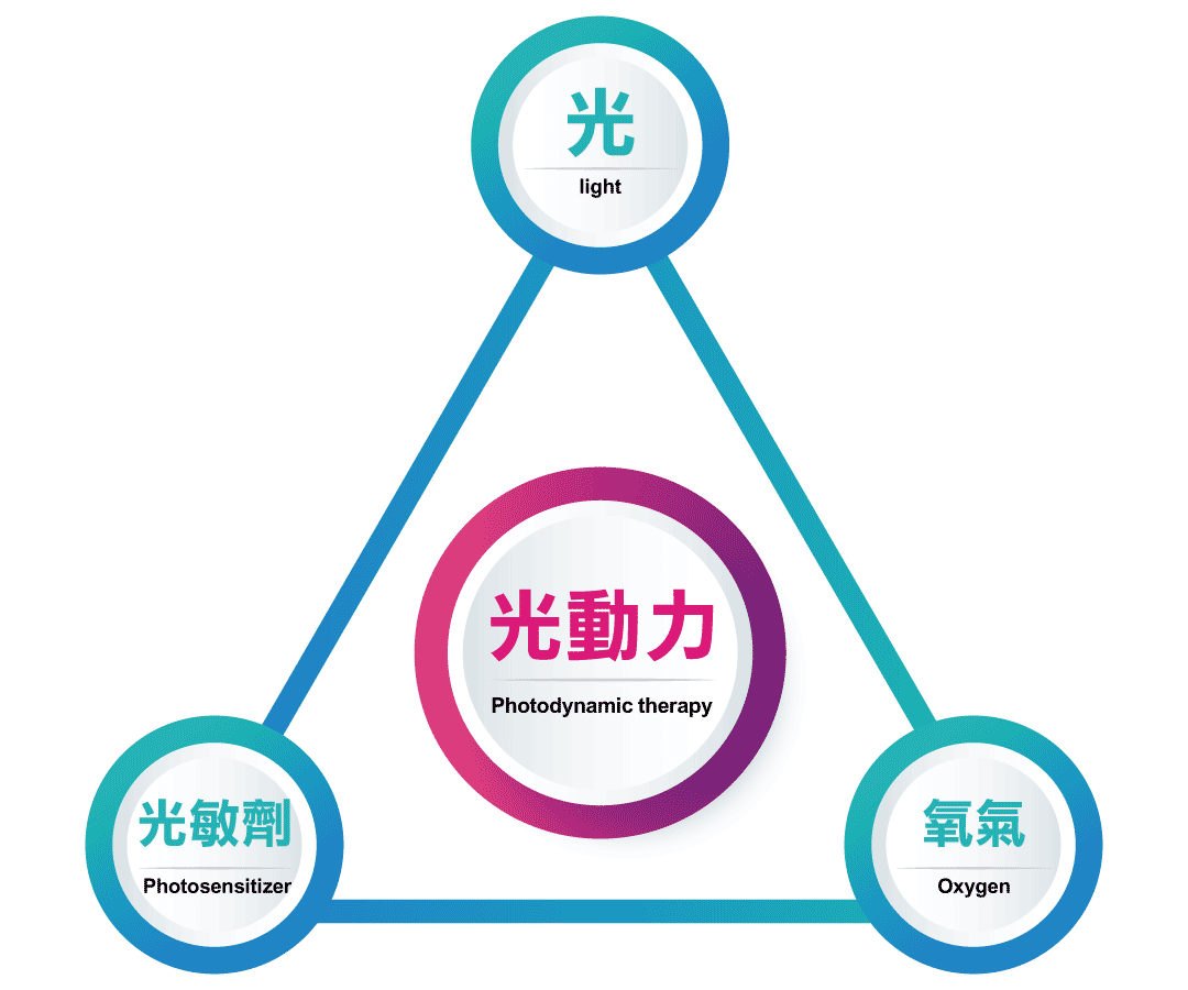 光動力治療需要三種重要元素