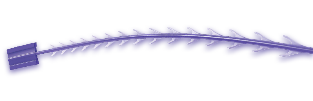 藍鑽魚骨線圖示
